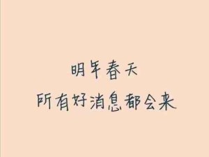 2020将至 探讨壁纸在资源管理中的核心作用及高效运用策略