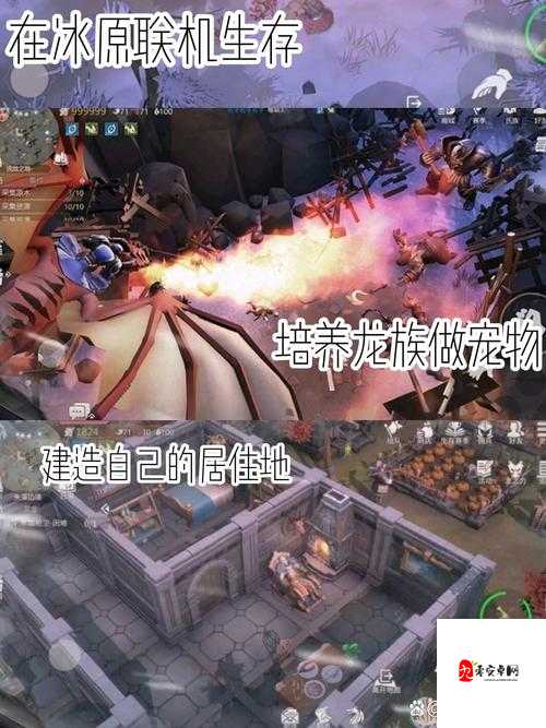 冰原守卫者,如何优雅地分享你的家园