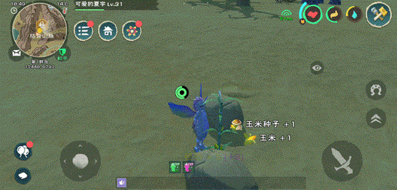 创造与魔法怎么卡猛犸象,资源管理中的智慧与策略