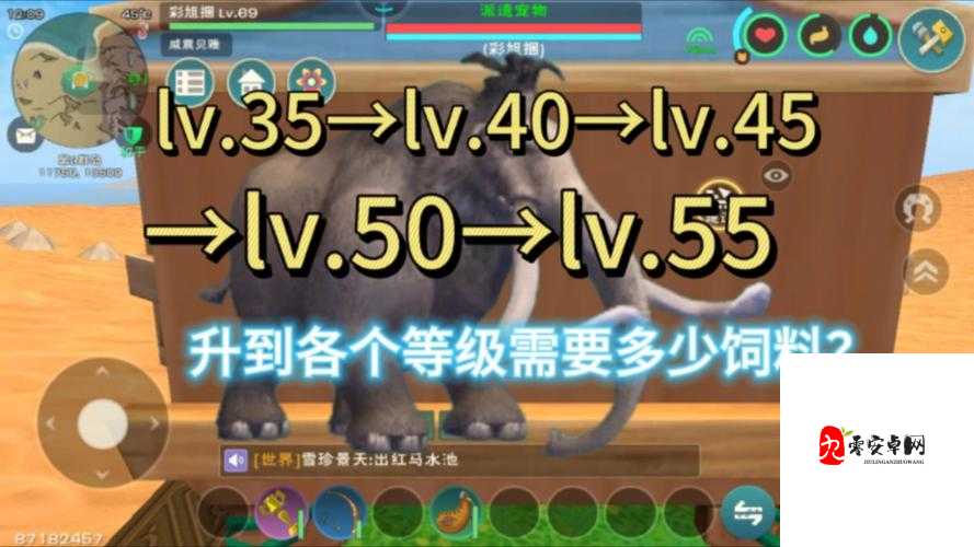 创造与魔法猛犸象,探寻最高资质的奥秘