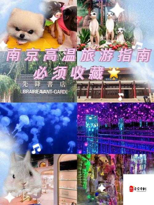 创造与魔法蜥蜴探险指南,解锁它们的神秘栖息地