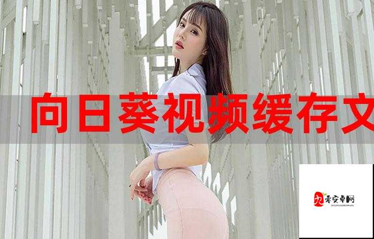 精品嫩白 BBwBBWBBw :让肌肤焕发动人光彩的秘密武器