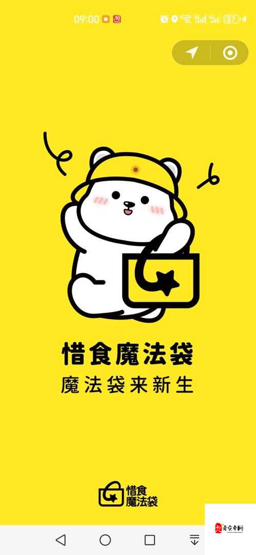 探索创造与魔法中的面包岛,资源管理、高效利用与避免浪费