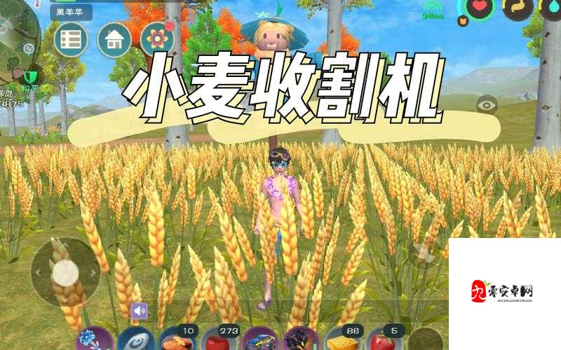 创造与魔法小麦多久成熟一次,资源管理的艺术
