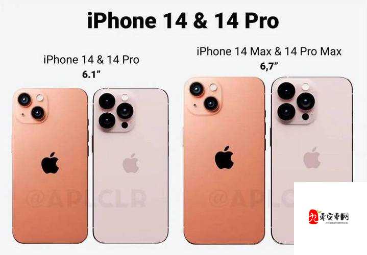 iPhone 细节全面剖析:从外观设计到系统功能的深度解读
