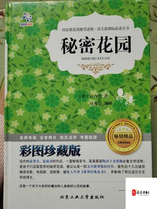 大手往哪秘密花园探去寓意何在:探寻背后的深层含义与思考