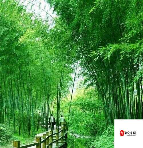 芳草萋萋流水潺潺美不可言:领略大自然的宁静与美丽