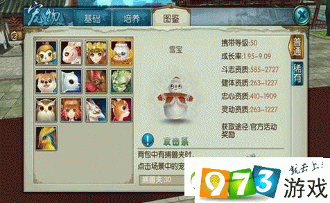 诛仙手游,揭秘雷神刷新时间,助你捕捉珍稀宠物