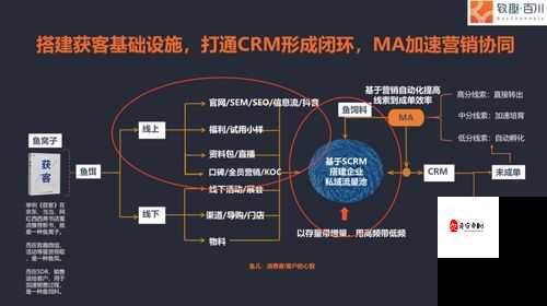 海外直播 B 站的主要内容和观看方式是什么:详细解析与指南