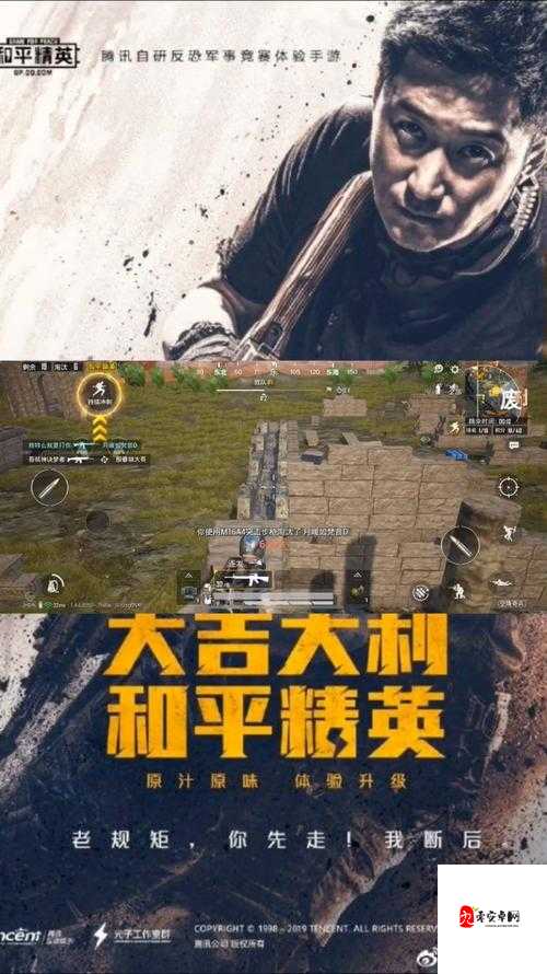 和平精英伐木场战术全解析,精准打击与策略布局