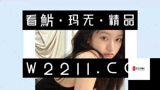 XXXXXLmedjyf使用评价越南:深入剖析其全面观点与独特视角