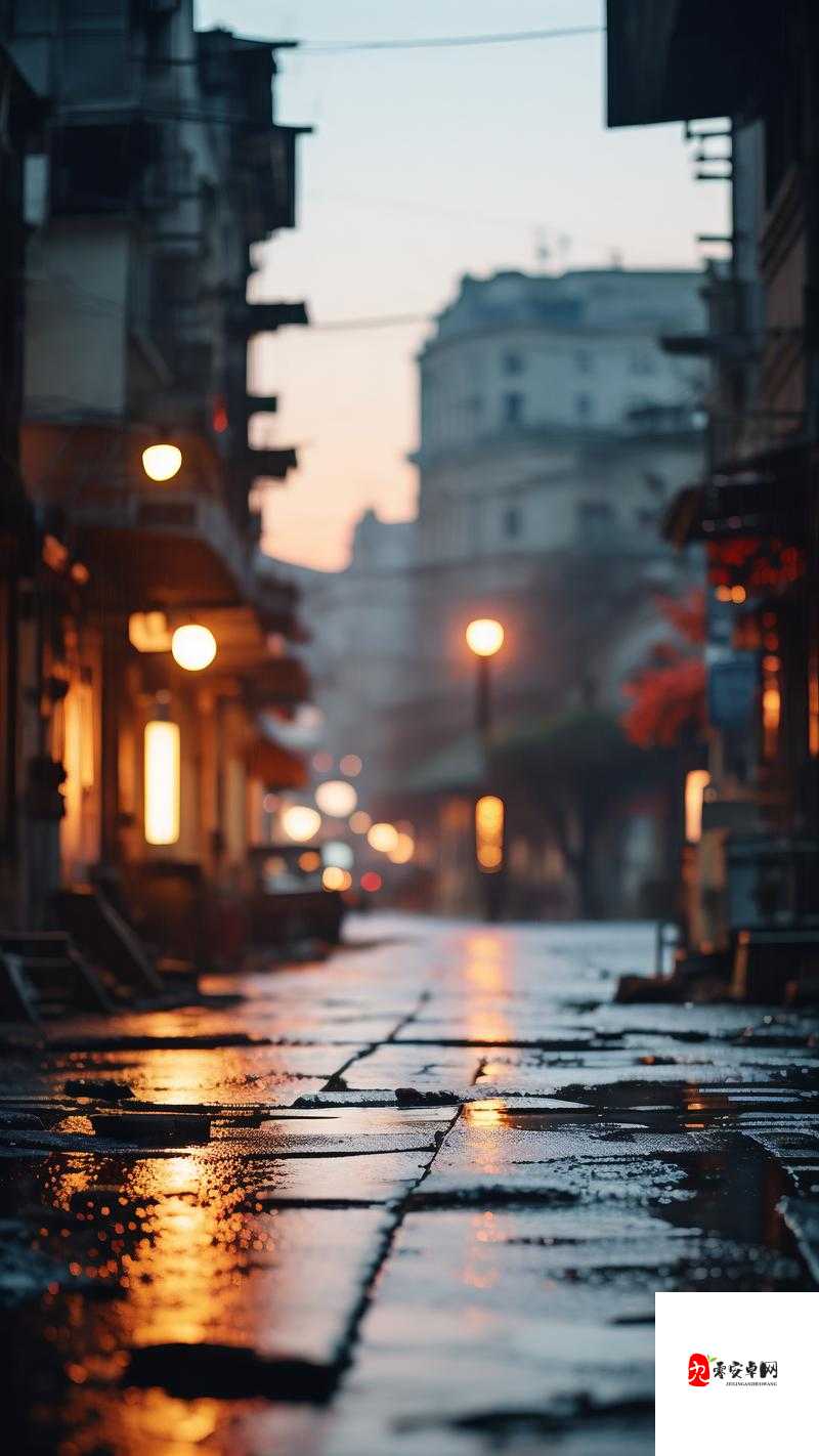 大巴车上夜路,与陌生邻座的寂静时光