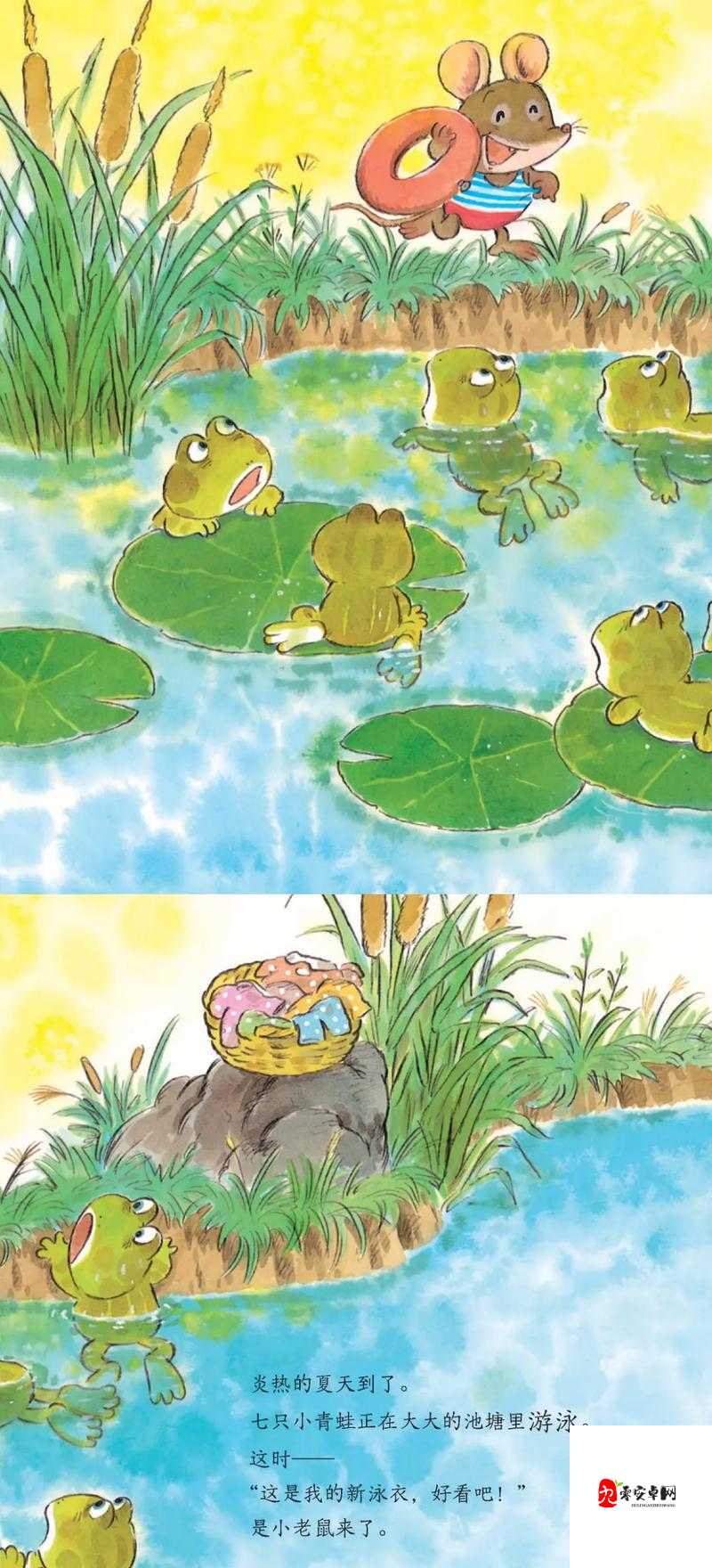 窝蝌蚪:一个神秘的蝌蚪释放之地