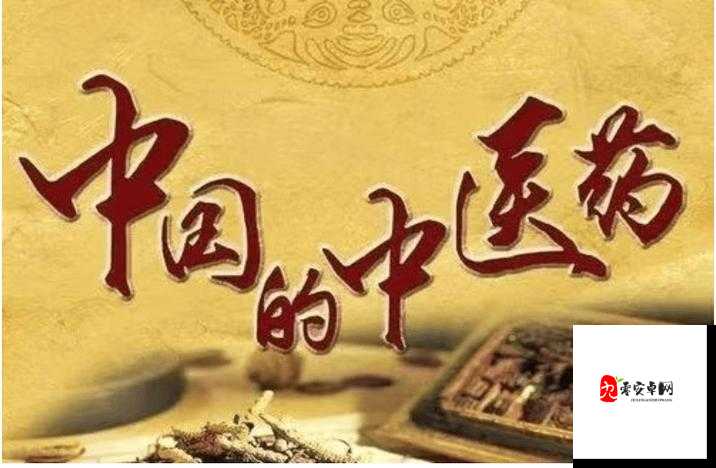 国药精之气:传承千年的中华瑰宝