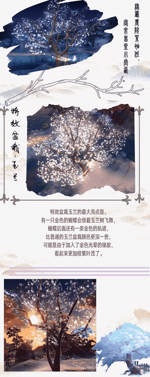 新倩女幽侠侣大赛特别篇怎么玩,侠侣大赛特别篇玩法攻略全解析
