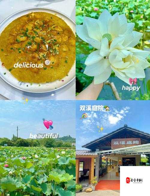 探秘乡村风情,我的农家乐特色讲解与特色玩法全揭秘