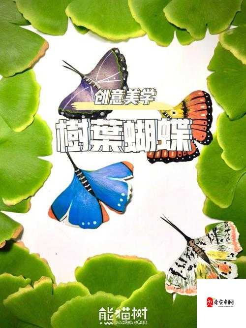 创意美涂好玩吗?创意美涂玩法介绍在资源管理中的重要性