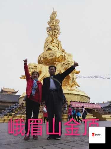 1982 年肉莲花:一段承载岁月记忆的独特文化之旅