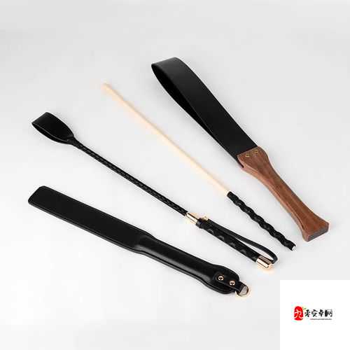 金牌惩戒师 SP 实验教程:深入探索独特的教育实践方法