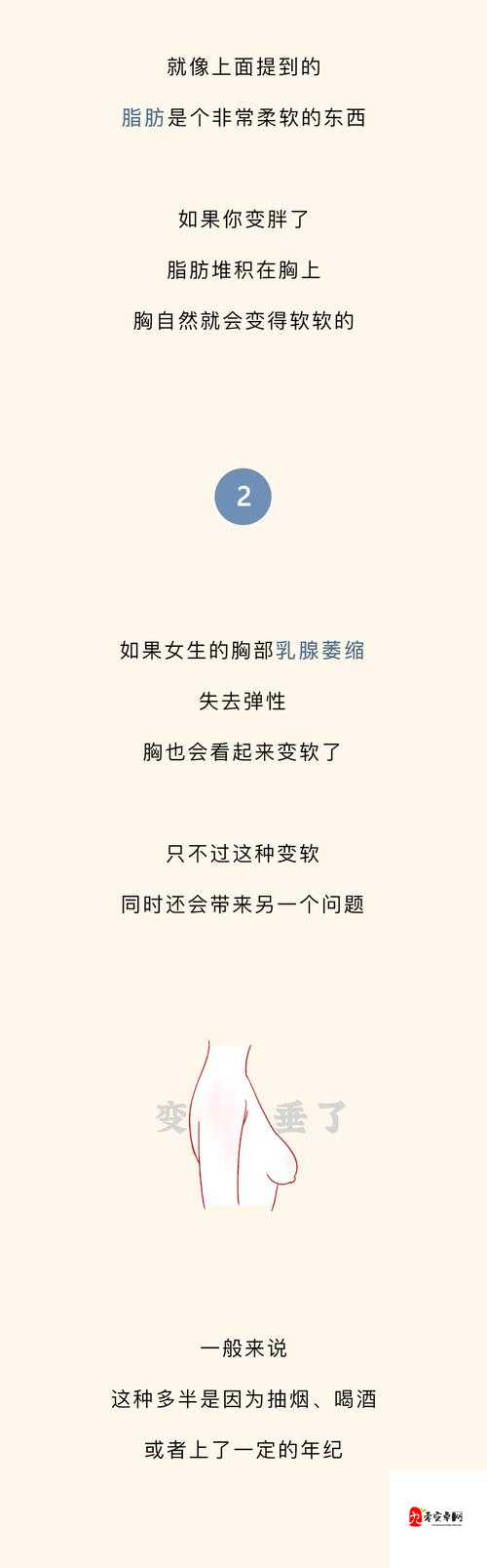 为什么软的时候好小:深度探究其原因