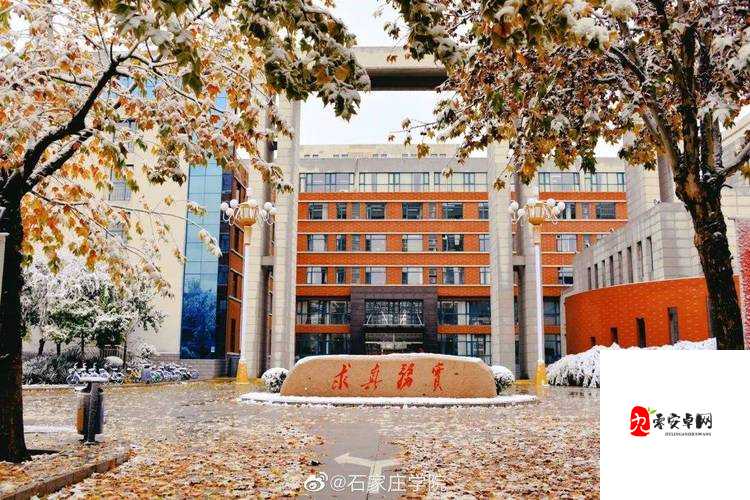 随时随地都能干的学校:一所打破时空限制的创新型学府