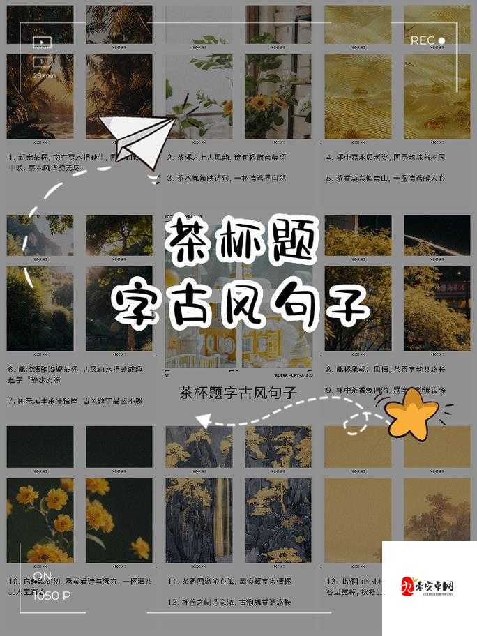 清茗学院水韵仙奴大结局:爱恨纠葛终落定