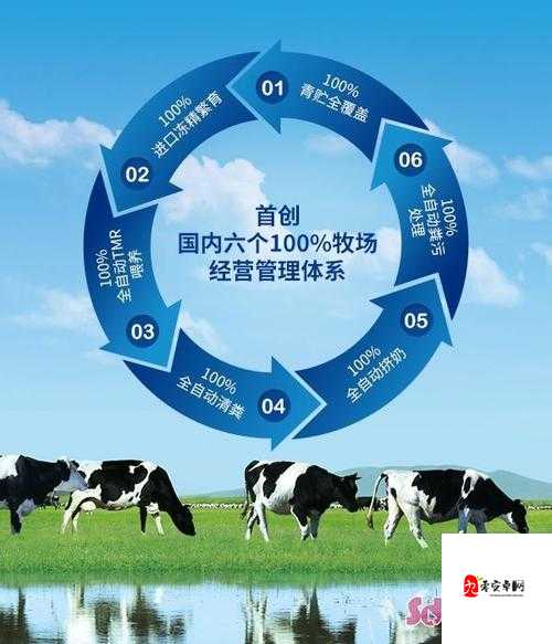 奶牛福利导航:全面提升奶牛生活质量与保障的指南