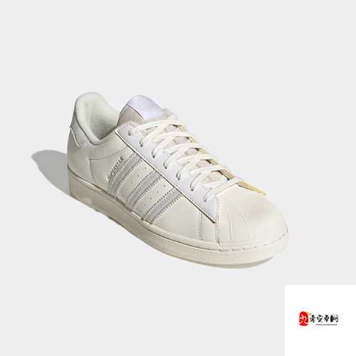 三叶草 gy4656 独特魅力展现与探索