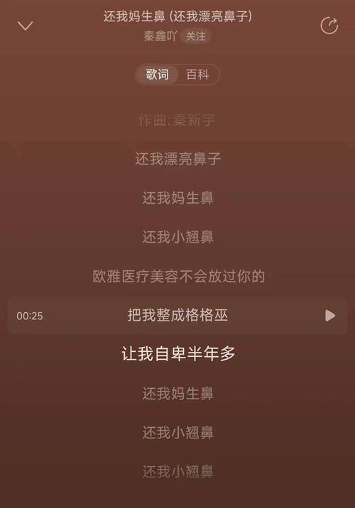 抖音一个我需要梦想需要方向需要眼泪歌词,在资源管理中的隐喻与策略