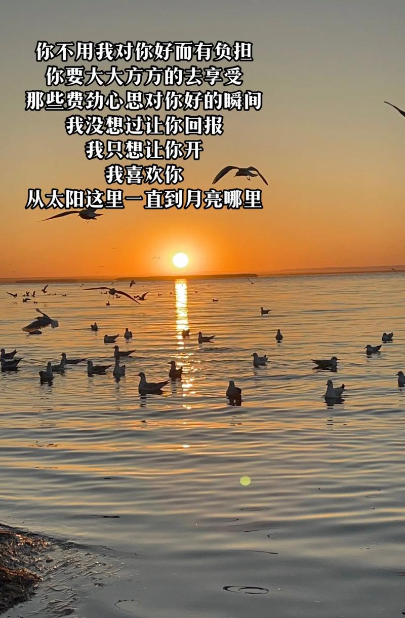 抖音莫名我就喜欢你,深深的爱上你是什么歌,资源管理视角下的深度解析