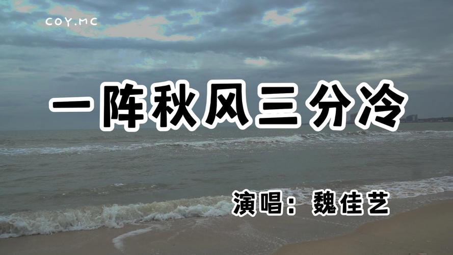 抖音热门BGM揭秘,那首冷风轻轻吹到悄然进了我衣襟的歌