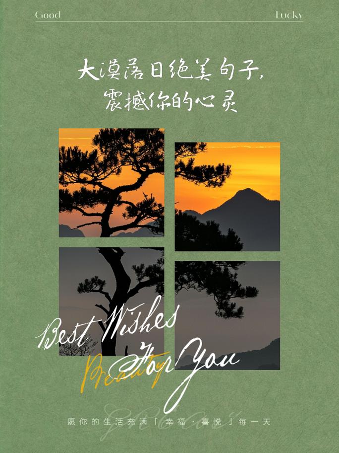 探寻人间理想之境,那些触动心灵的绝美瞬间