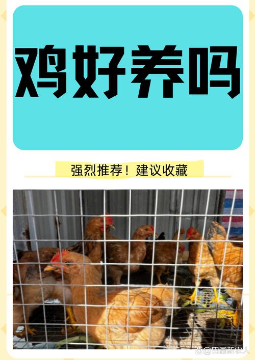 小鸡宝宝今天走了1500步,可以在运动里进行捐赠吗?在资源管理中的重要性及优化策略