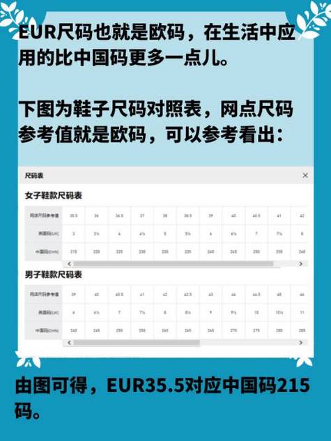欧亚尺码专线b1b:如何选择适合的尺码并提升购物体验?