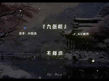 抖音热曲探索与资源管理,我愿化作望断天涯哪一方青石的深度剖析