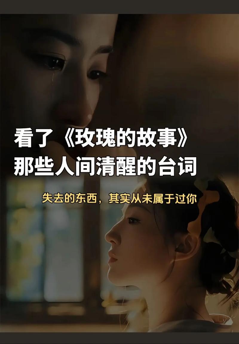 经历过的人会懂什么歌,在资源管理中的深度解析与应用