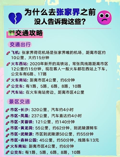 公交车上可不可以干湿垃圾?相关规定与实际情况大揭秘