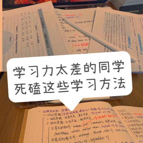如何高效进行我和子的乱陪读?实用技巧与经验分享,提升学习效果