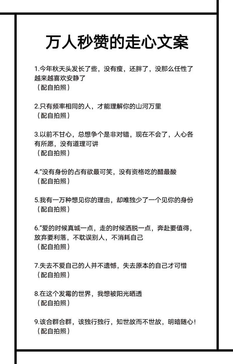 抖音热门旋律揭秘,是不是我的坏脾气永远的任性出自哪首歌?