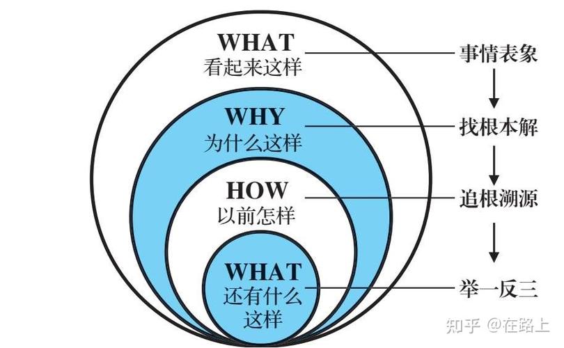 10元种下希望树项目全攻略,底层逻辑与操作映射深度解析