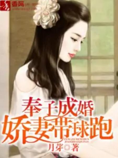 妖姬葵之秘密关系,奉子成婚的娇妻第一关深度解析