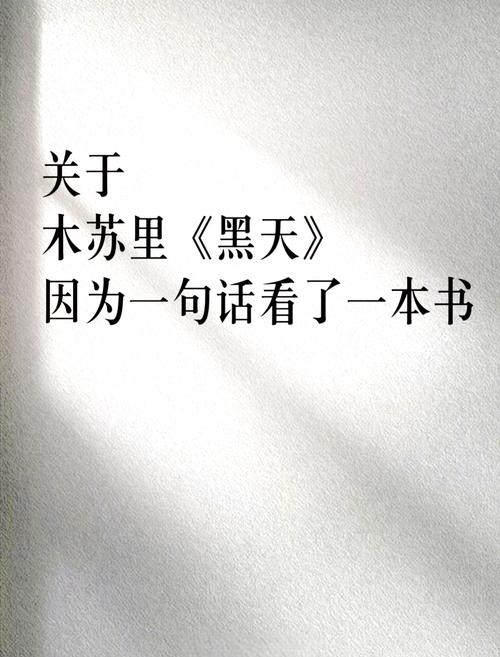 天黑了你很忧愁是什么歌,资源管理与价值最大化