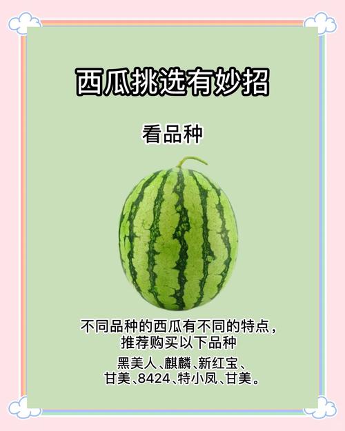 古代人生瓜农赚钱攻略大全,种西瓜赚钱方法分享