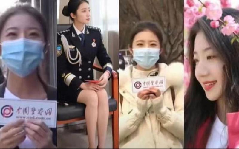 张津瑜吕知樾三部曲完整观看指南:在哪里可以找到并欣赏这部经典作品?