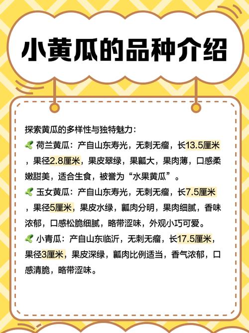 黄瓜地址永久免费获取方法:详细步骤与使用指南,轻松享受无限资源 黄瓜地址永久免费服务全面解析:如何安全高效地获取并长期使用 黄瓜地址永久免费使用教程:手把手教你快速获取并避免常见问题 黄瓜地址永久免费资源分享:最新获取渠道与使用技巧大揭秘 黄瓜地址永久免费体验攻略:从获取到使用的完整指南,助你畅享无阻
