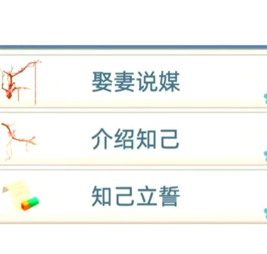 古代人生娶妻攻略,古代人生娶妻技巧深度解析