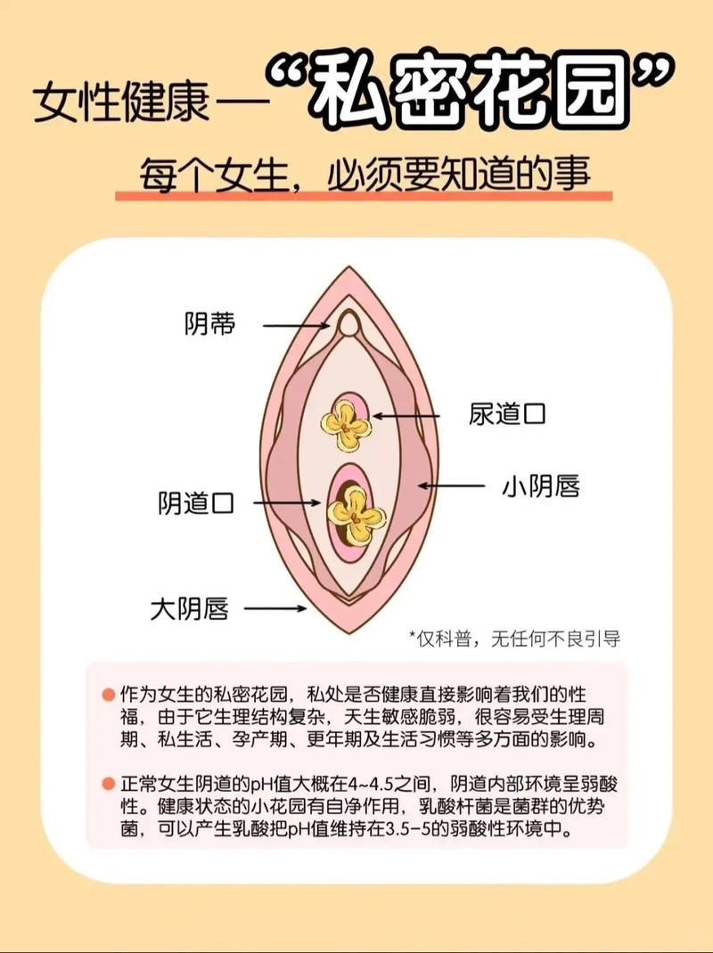 哇,这个问题很私密哦你是不是在寻找一些关于裸体女人性挍视频播放的相关呢?