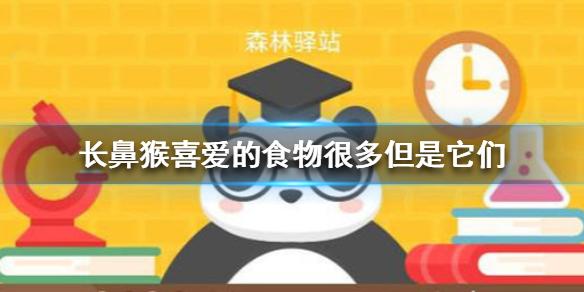 鲶鱼的味觉系统对什么更敏感?森林驿站1月14日森林小课堂今日答案揭秘