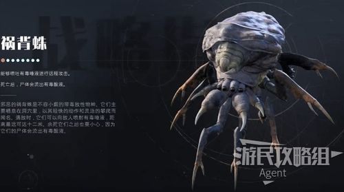 怪兽星球域外星空通关攻略，域外星空前、中、后期玩法详解