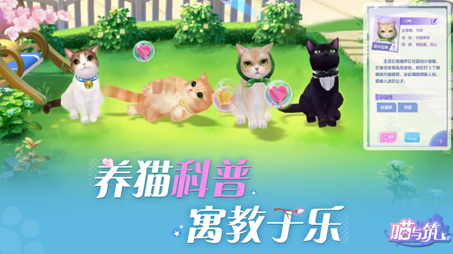遇见手游表白这只笼子消失了?重寻手游辅助小技巧!